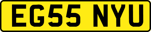 EG55NYU