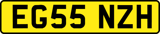 EG55NZH