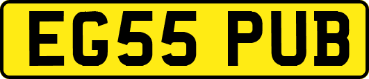 EG55PUB