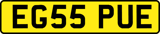 EG55PUE
