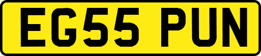 EG55PUN
