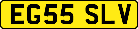 EG55SLV