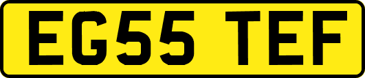 EG55TEF