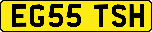 EG55TSH