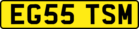 EG55TSM