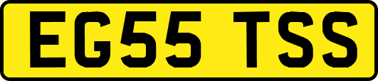 EG55TSS