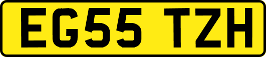 EG55TZH
