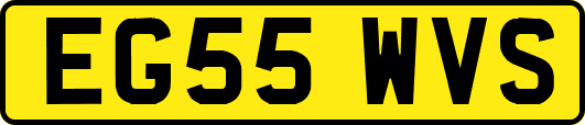 EG55WVS
