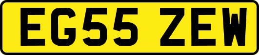 EG55ZEW