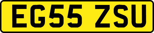 EG55ZSU