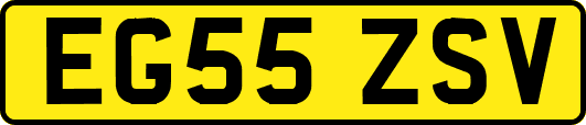 EG55ZSV