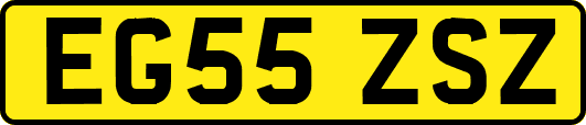 EG55ZSZ