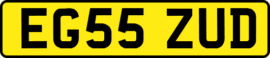 EG55ZUD