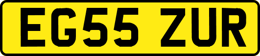 EG55ZUR