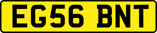 EG56BNT