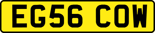 EG56COW
