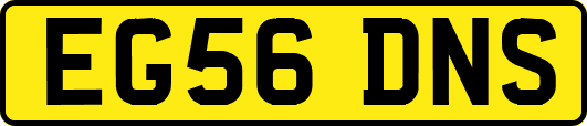 EG56DNS