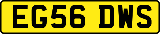 EG56DWS