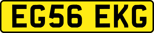 EG56EKG