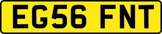 EG56FNT