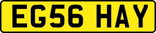 EG56HAY
