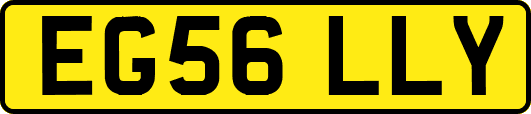 EG56LLY