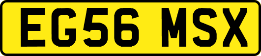 EG56MSX