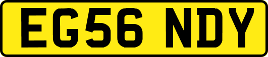 EG56NDY