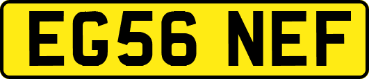 EG56NEF