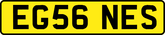 EG56NES