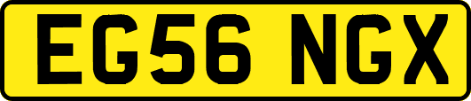EG56NGX