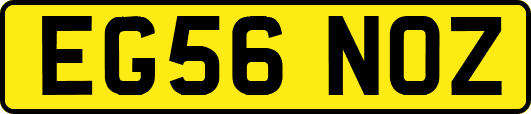 EG56NOZ