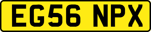 EG56NPX