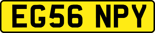 EG56NPY