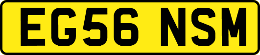 EG56NSM