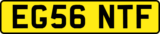 EG56NTF