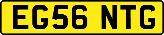 EG56NTG