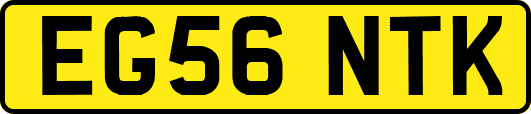 EG56NTK