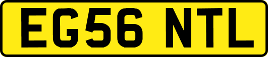 EG56NTL