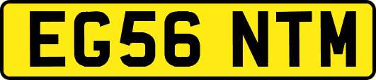 EG56NTM