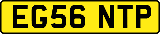 EG56NTP