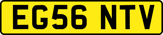 EG56NTV