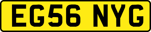 EG56NYG