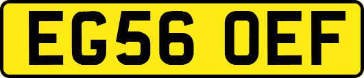 EG56OEF