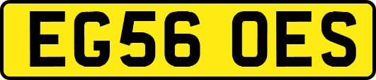 EG56OES
