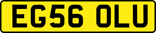 EG56OLU