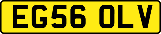 EG56OLV