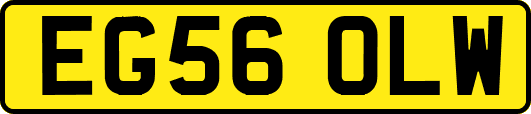 EG56OLW