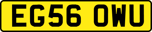 EG56OWU