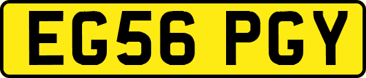 EG56PGY